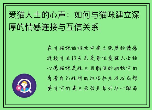 爱猫人士的心声：如何与猫咪建立深厚的情感连接与互信关系